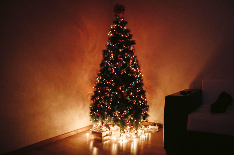 How to Choose the Perfect Christmas Tree for Your 12-Foot Ceiling