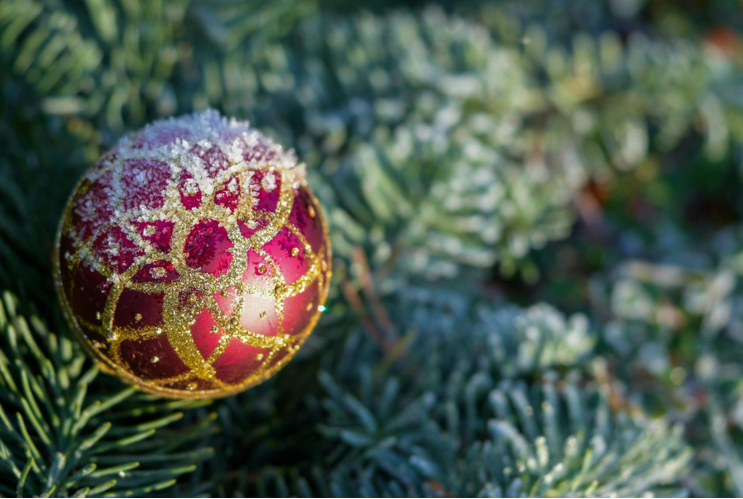 Christmas Tree Sale and Xmas Ornaments for Summer