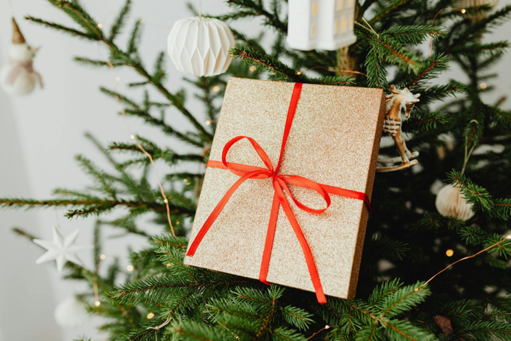 Affordable Christmas Trees and Twelfth Night Traditions