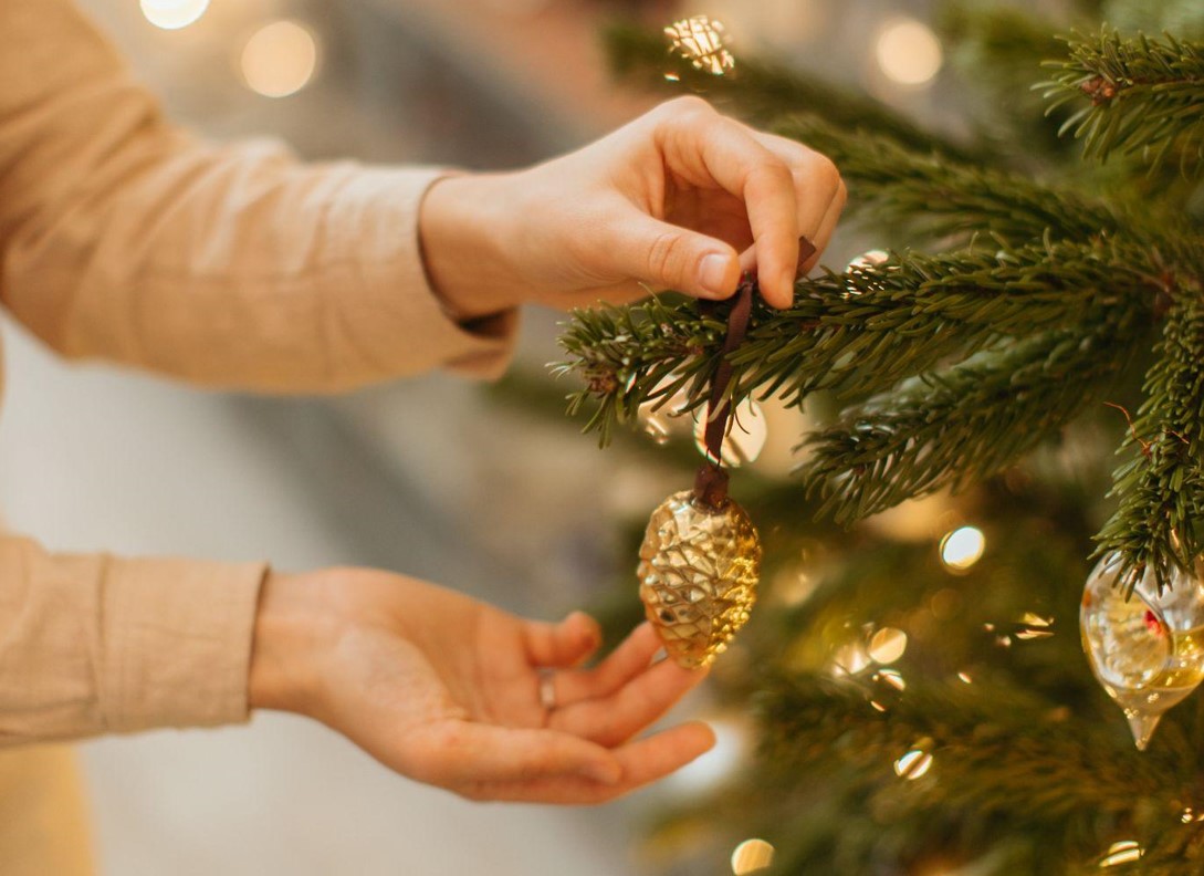 Find Your Perfect Christmas Tree for Sale with King Tree